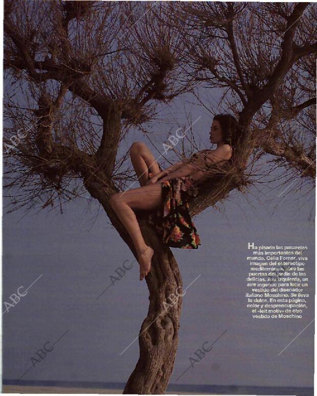 BLANCO Y NEGRO MADRID 25-04-1993 página 89