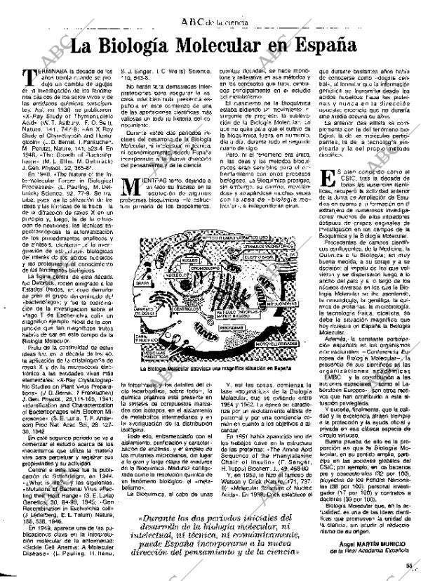 CULTURAL MADRID 21-05-1993 página 55