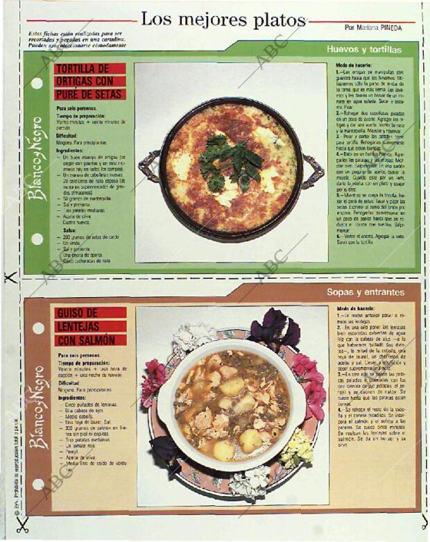 BLANCO Y NEGRO MADRID 06-06-1993 página 110