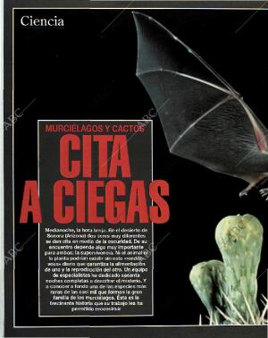 BLANCO Y NEGRO MADRID 06-06-1993 página 66