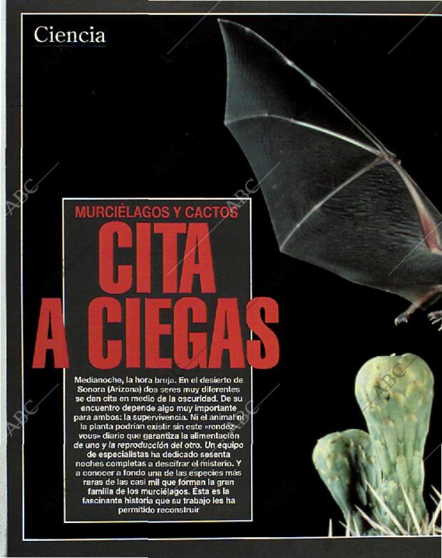 BLANCO Y NEGRO MADRID 06-06-1993 página 66