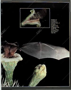 BLANCO Y NEGRO MADRID 06-06-1993 página 69