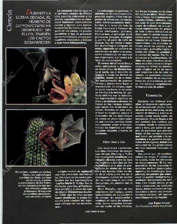 BLANCO Y NEGRO MADRID 06-06-1993 página 72