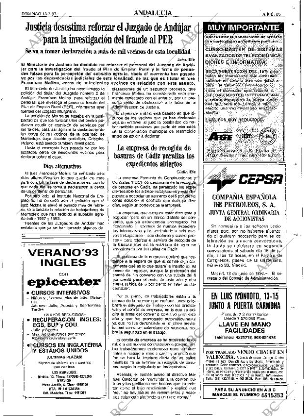 ABC SEVILLA 13-06-1993 página 85