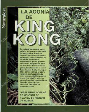 BLANCO Y NEGRO MADRID 13-06-1993 página 52