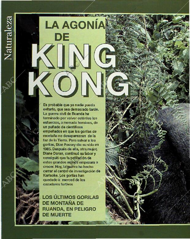 BLANCO Y NEGRO MADRID 13-06-1993 página 52