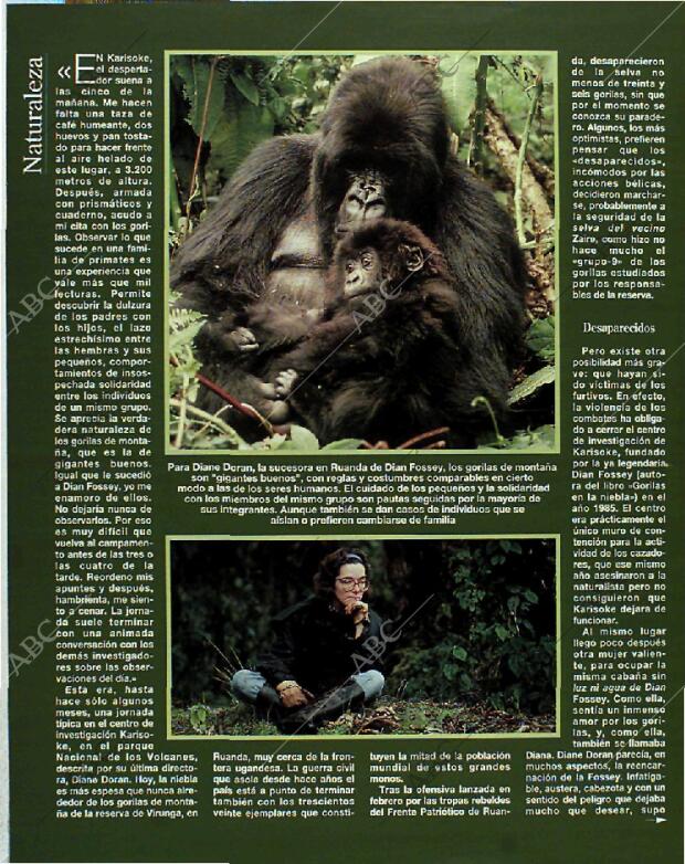 BLANCO Y NEGRO MADRID 13-06-1993 página 54