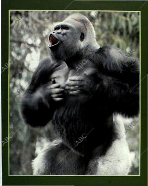 BLANCO Y NEGRO MADRID 13-06-1993 página 55