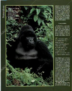 BLANCO Y NEGRO MADRID 13-06-1993 página 56