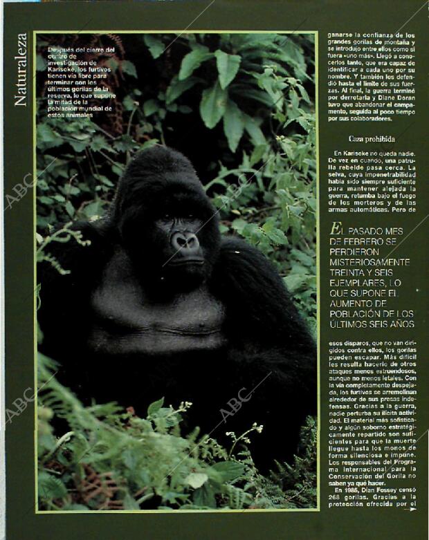 BLANCO Y NEGRO MADRID 13-06-1993 página 56