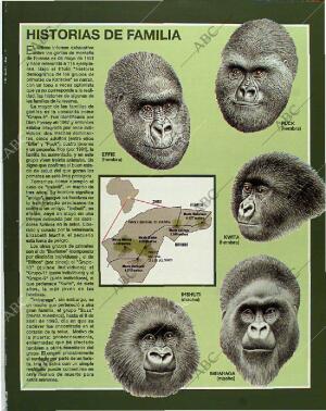 BLANCO Y NEGRO MADRID 13-06-1993 página 57