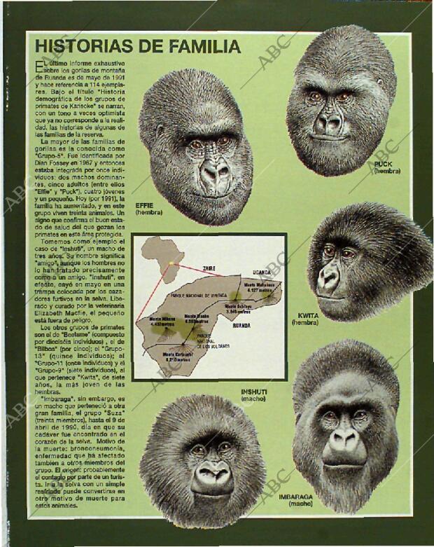 BLANCO Y NEGRO MADRID 13-06-1993 página 57