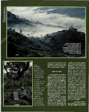 BLANCO Y NEGRO MADRID 13-06-1993 página 58