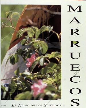 BLANCO Y NEGRO MADRID 13-06-1993 página 61