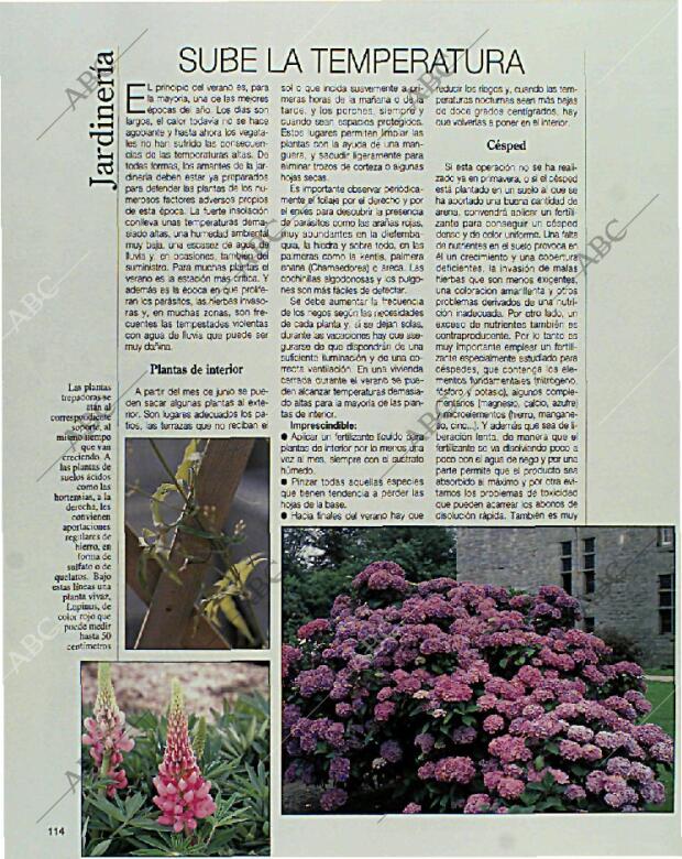 BLANCO Y NEGRO MADRID 27-06-1993 página 114