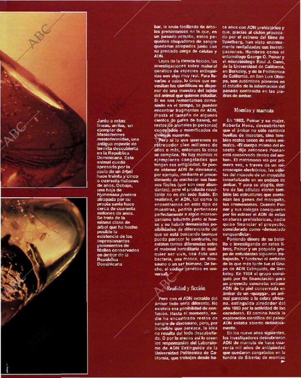 BLANCO Y NEGRO MADRID 04-07-1993 página 65