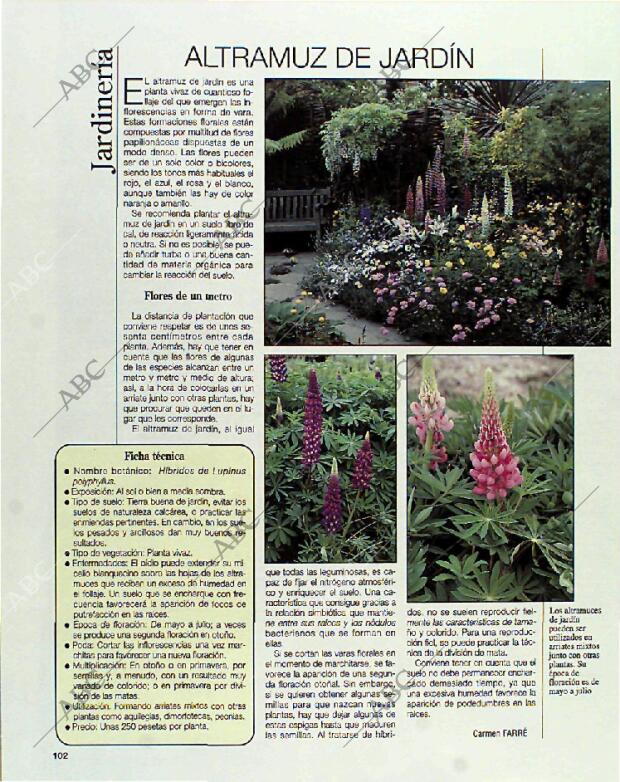 BLANCO Y NEGRO MADRID 11-07-1993 página 102