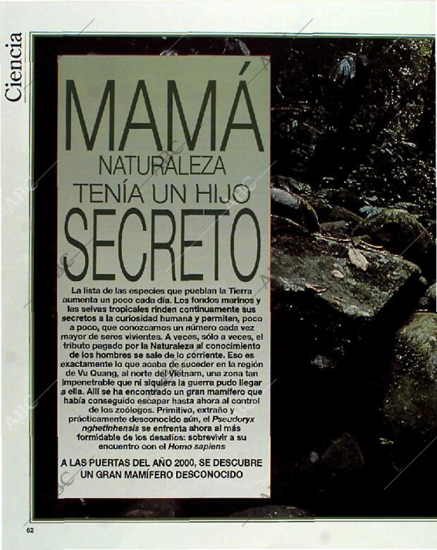 BLANCO Y NEGRO MADRID 11-07-1993 página 62