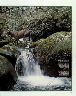 BLANCO Y NEGRO MADRID 11-07-1993 página 63