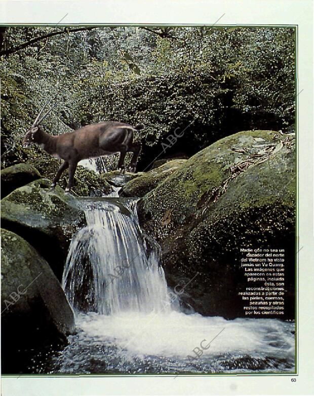 BLANCO Y NEGRO MADRID 11-07-1993 página 63