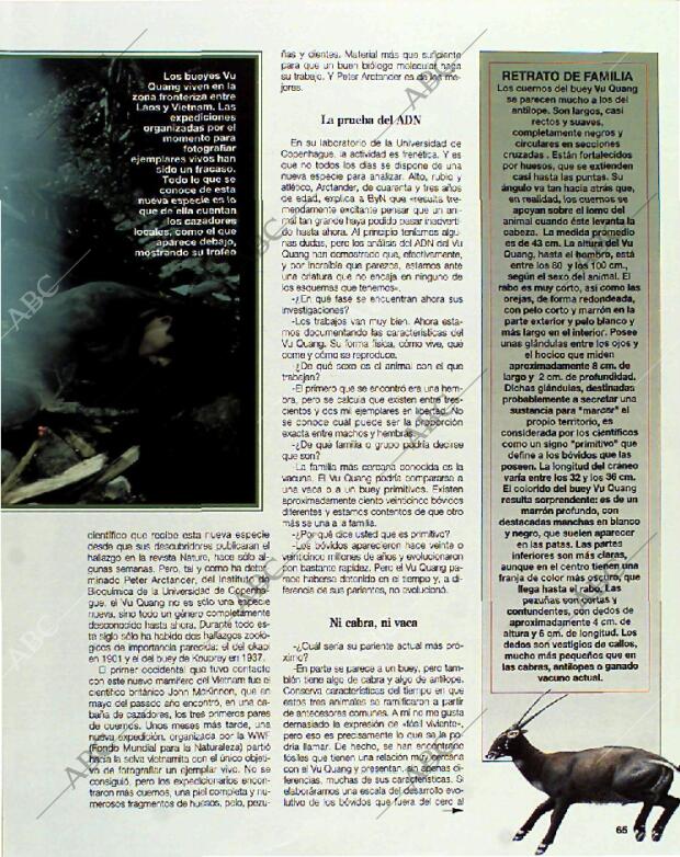 BLANCO Y NEGRO MADRID 11-07-1993 página 65