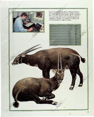 BLANCO Y NEGRO MADRID 11-07-1993 página 67