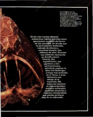 BLANCO Y NEGRO MADRID 18-07-1993 página 61