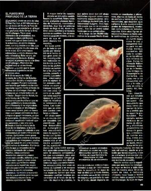 BLANCO Y NEGRO MADRID 18-07-1993 página 63