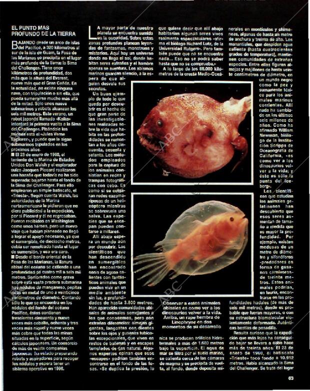 BLANCO Y NEGRO MADRID 18-07-1993 página 63