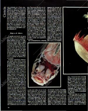 BLANCO Y NEGRO MADRID 18-07-1993 página 64