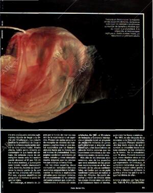 BLANCO Y NEGRO MADRID 18-07-1993 página 65