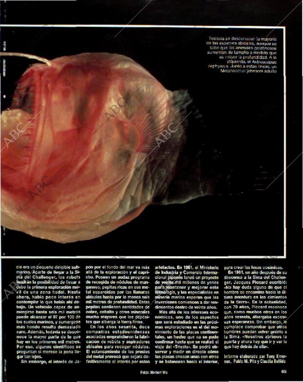 BLANCO Y NEGRO MADRID 18-07-1993 página 65