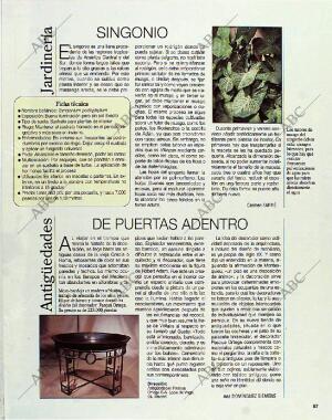 BLANCO Y NEGRO MADRID 25-07-1993 página 87