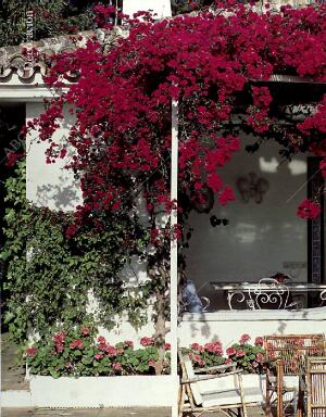 BLANCO Y NEGRO MADRID 01-08-1993 página 74