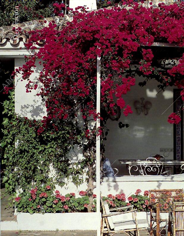 BLANCO Y NEGRO MADRID 01-08-1993 página 74