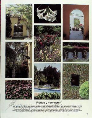 BLANCO Y NEGRO MADRID 01-08-1993 página 75