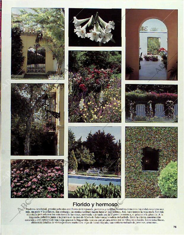 BLANCO Y NEGRO MADRID 01-08-1993 página 75