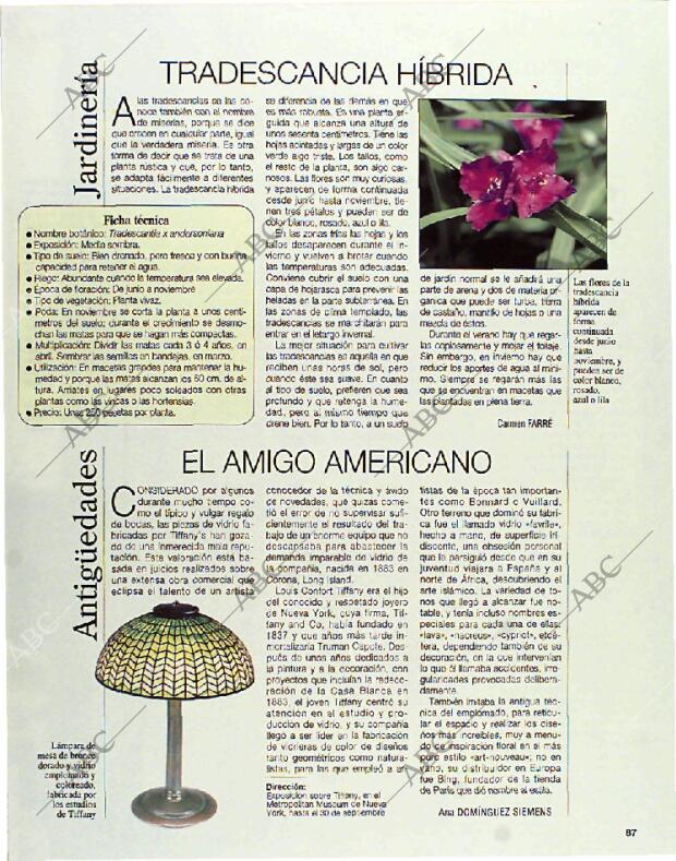 BLANCO Y NEGRO MADRID 01-08-1993 página 87