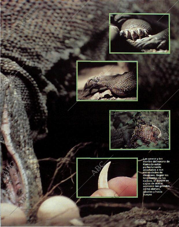 BLANCO Y NEGRO MADRID 08-08-1993 página 57