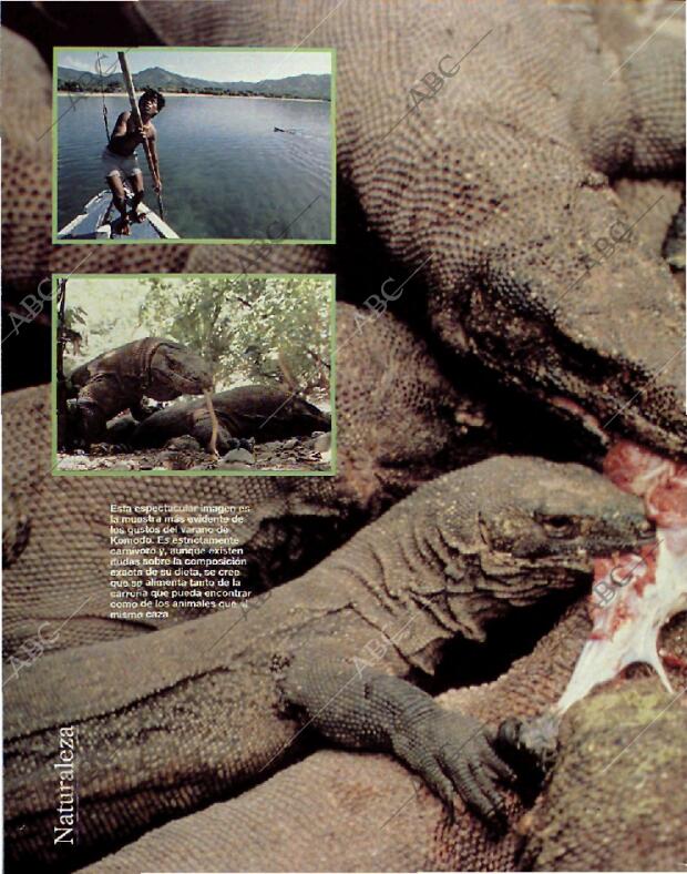 BLANCO Y NEGRO MADRID 08-08-1993 página 58