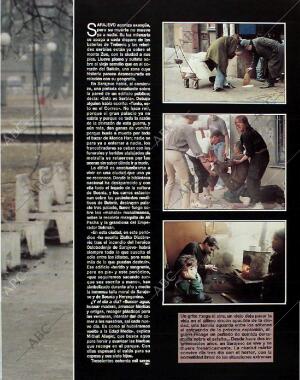 BLANCO Y NEGRO MADRID 15-08-1993 página 55