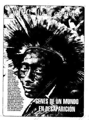 CULTURAL MADRID 20-08-1993 página 41