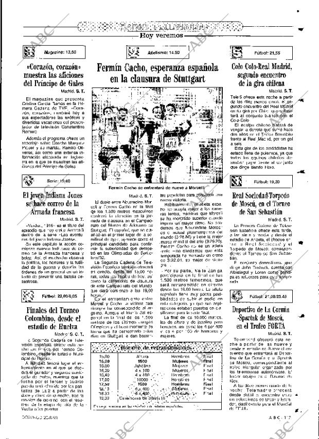 ABC MADRID 22-08-1993 página 117