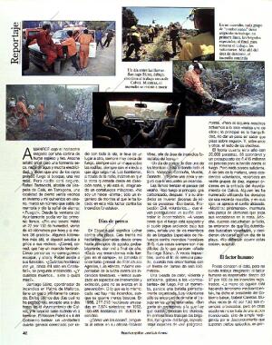 BLANCO Y NEGRO MADRID 22-08-1993 página 42