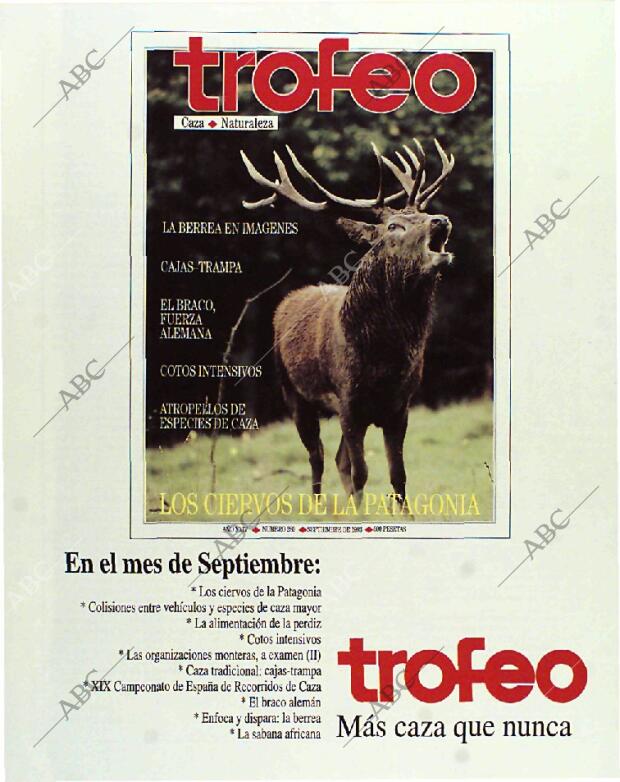 BLANCO Y NEGRO MADRID 29-08-1993 página 14