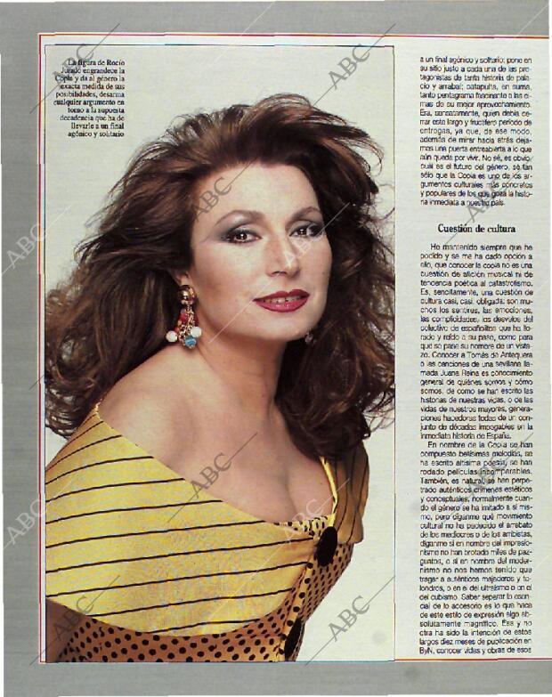 BLANCO Y NEGRO MADRID 29-08-1993 página 52