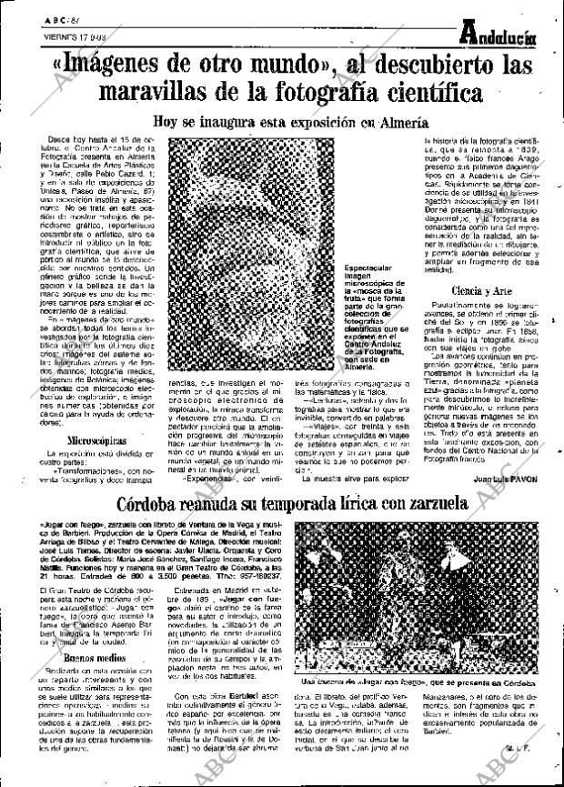 ABC SEVILLA 17-09-1993 página 87
