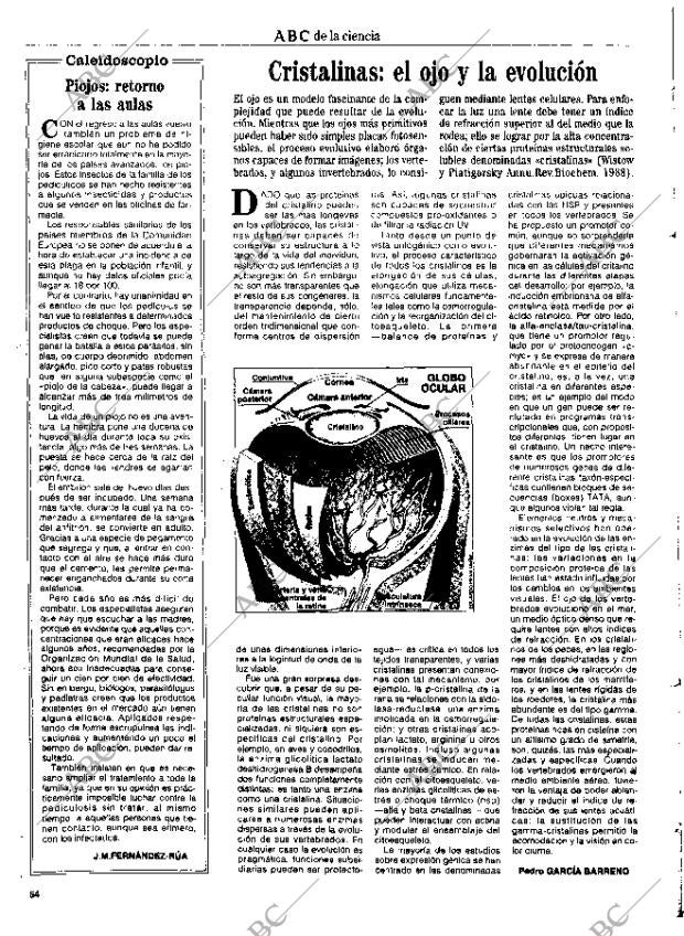 CULTURAL MADRID 17-09-1993 página 54