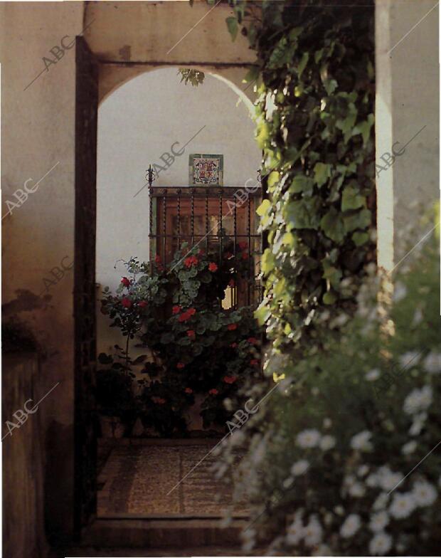 BLANCO Y NEGRO MADRID 19-09-1993 página 83