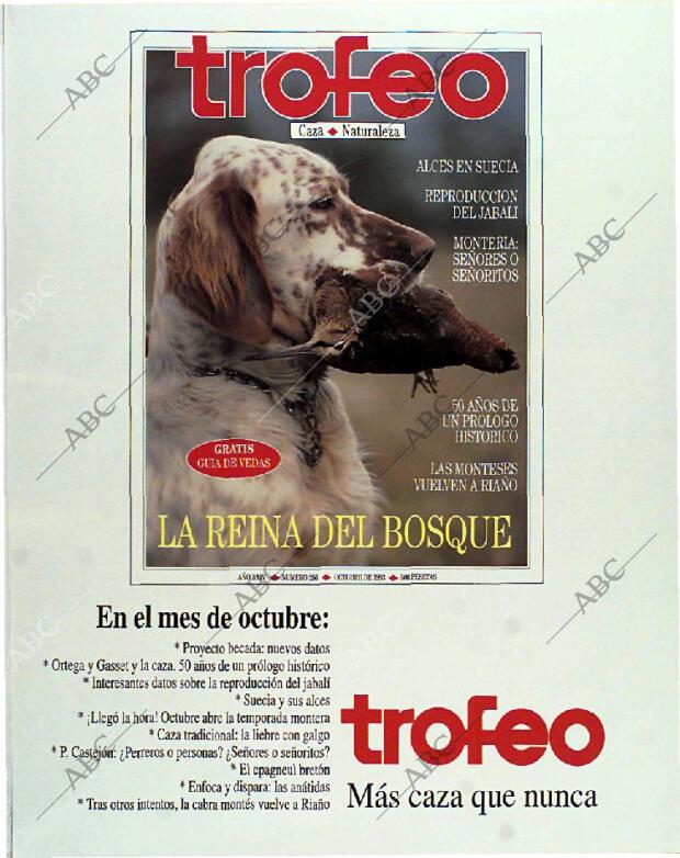 BLANCO Y NEGRO MADRID 17-10-1993 página 115